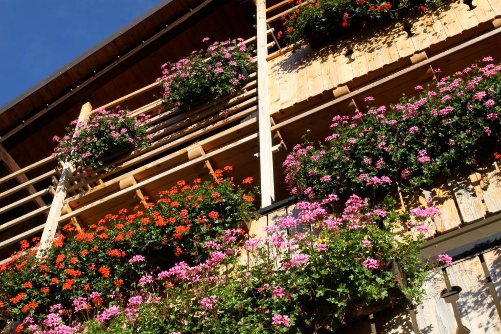 Albergo Centrale Forni di Sopra Extérieur photo
